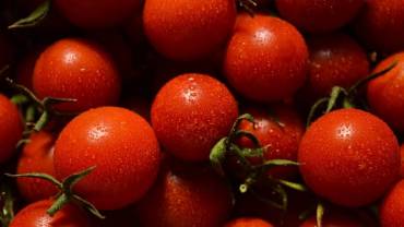 Higiene Industrial na Transformação do Tomate